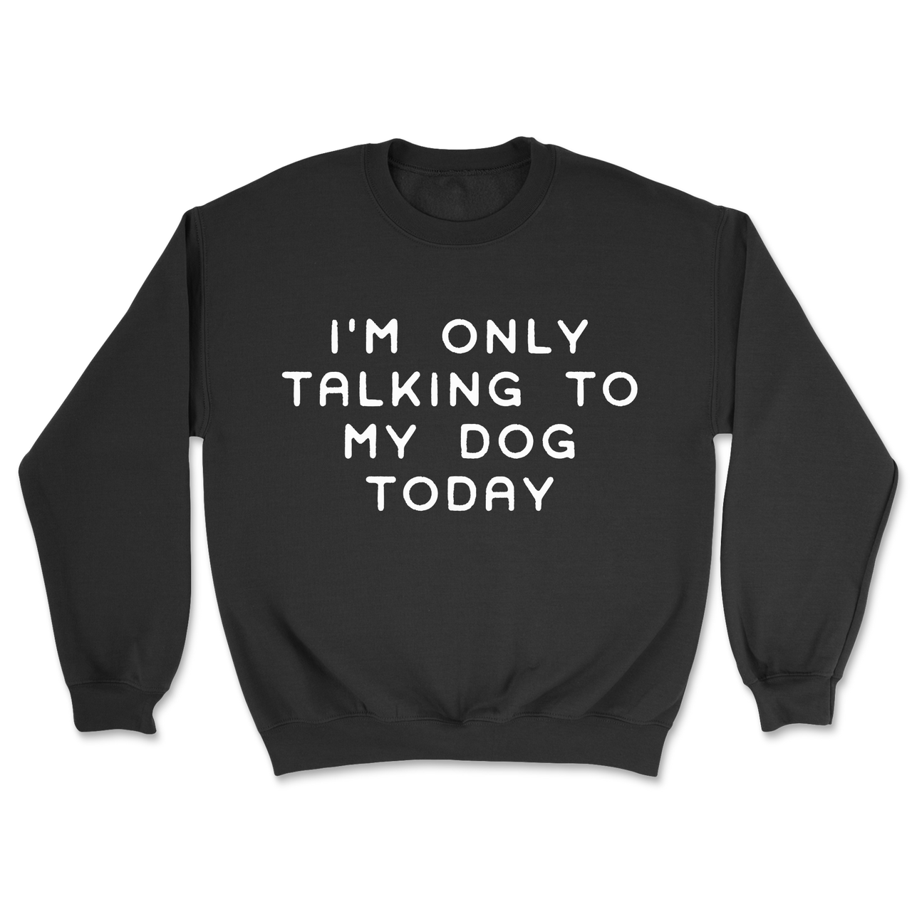 Talking To My Dog Today Sweatshirt