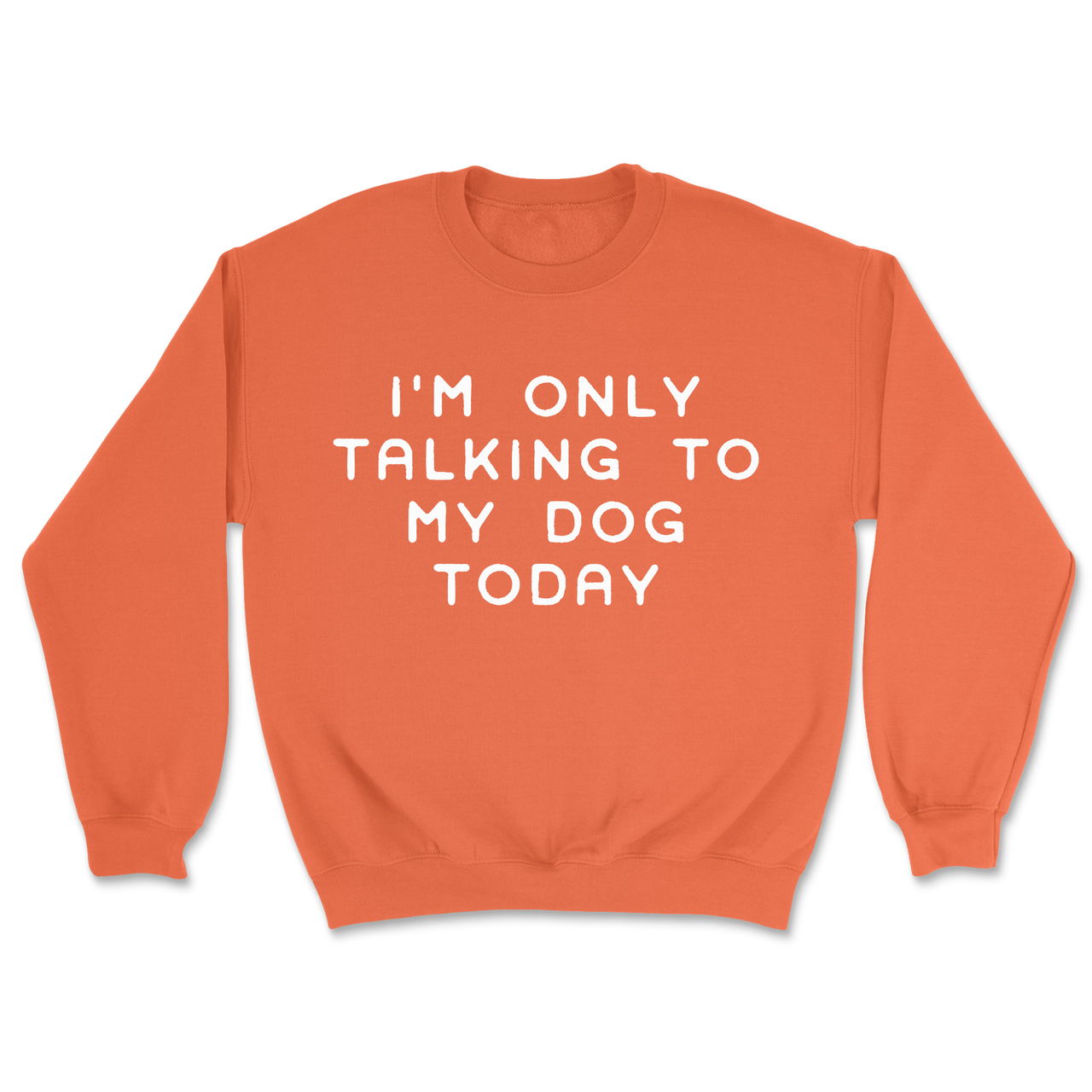 Talking To My Dog Today Sweatshirt