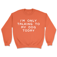 Talking To My Dog Today Sweatshirt