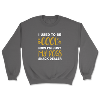 I Used To Be Cool Now I'm Just My Dogs Snack Dealer Sweatshirt