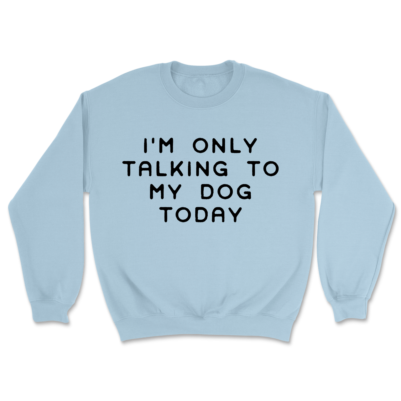 Talking To My Dog Today Sweatshirt