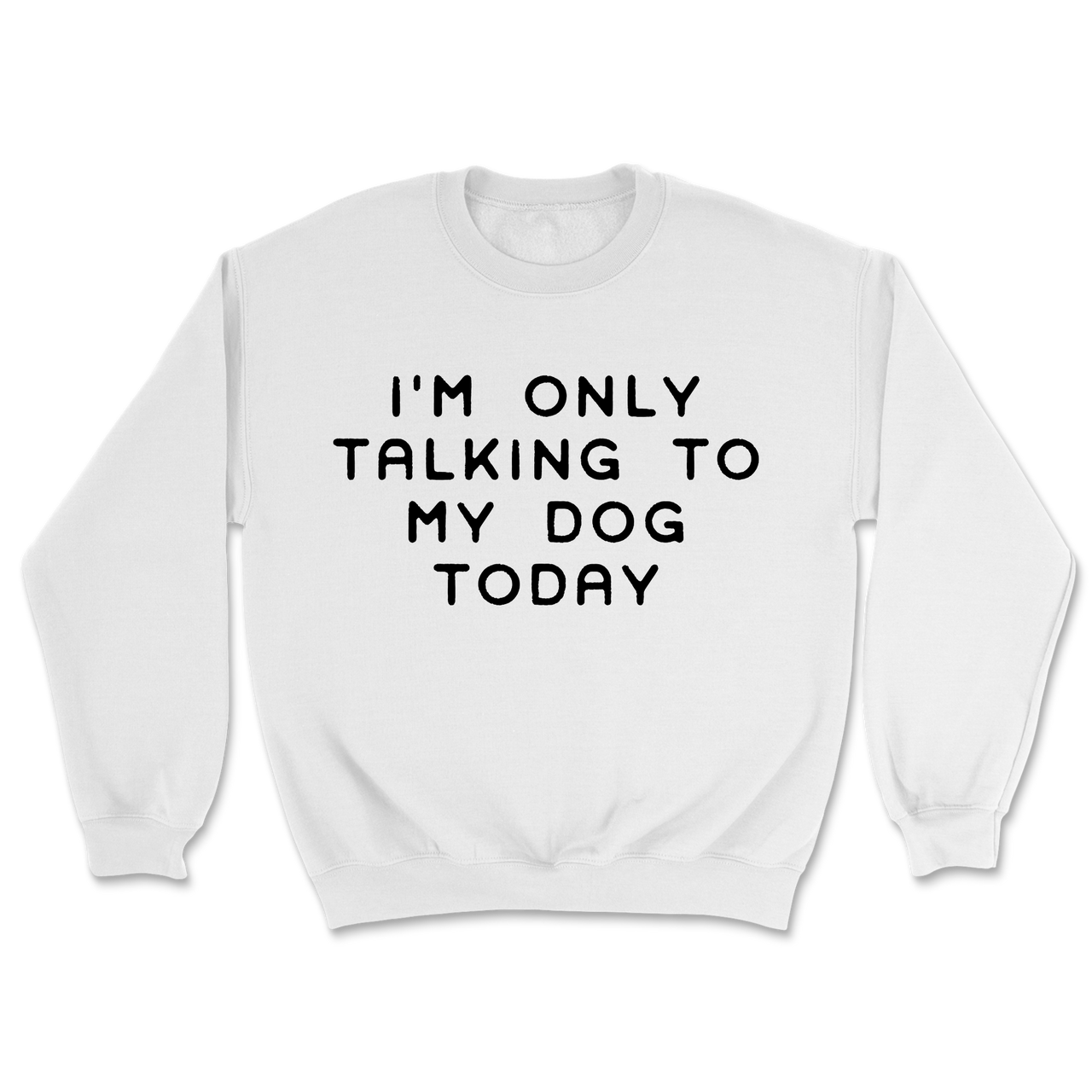 Talking To My Dog Today Sweatshirt