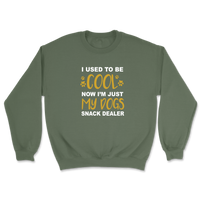 I Used To Be Cool Now I'm Just My Dogs Snack Dealer Sweatshirt