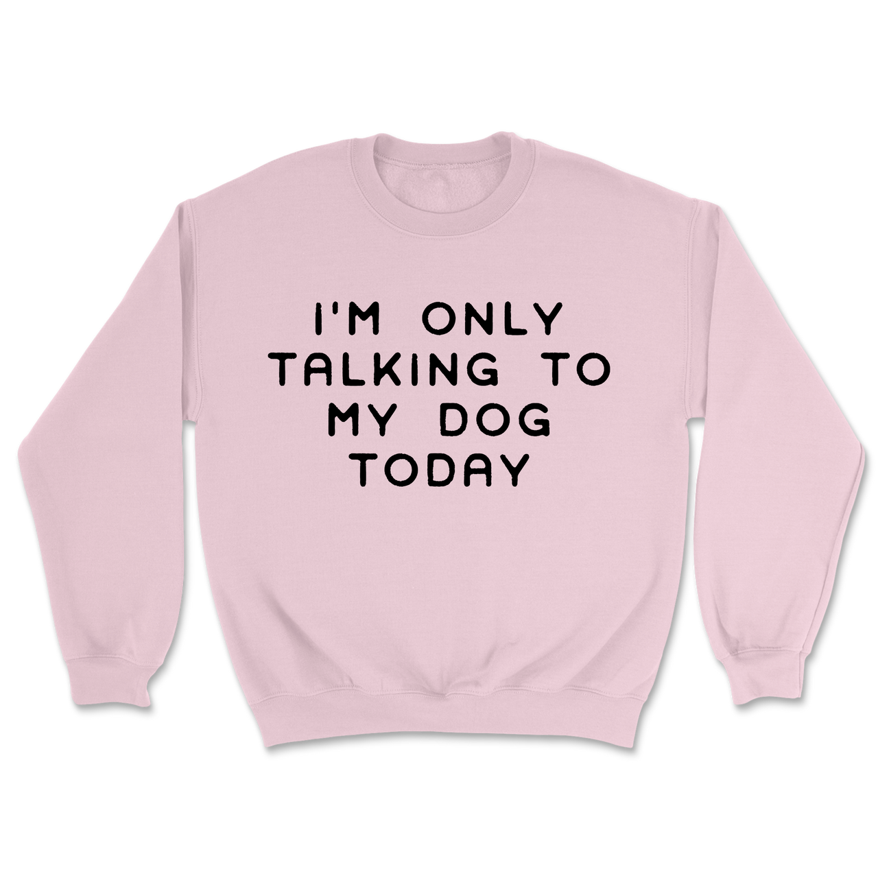 Talking To My Dog Today Sweatshirt